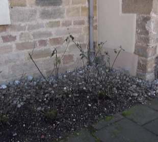 Kriegerdenkmal Schlaitdorf