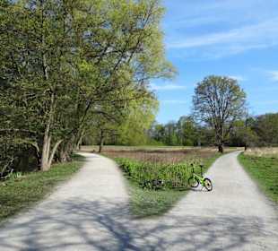 Rundgang durch den Hermann-Löns-Park