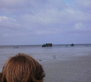 Watt-Highway: Trecker von Neuwerk nach Sahlenburg