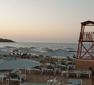 Strand Stalis