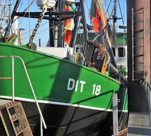 Eindrücke aus dem Hafen Ditzum