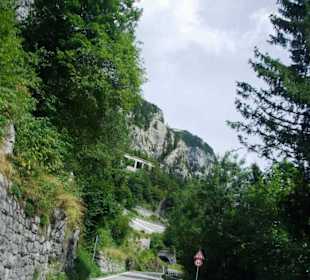 Hier nochmal die gesamte Strecke