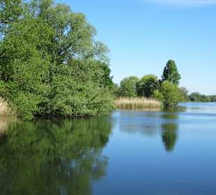 Impressionen vom Rundgang um den Südsee