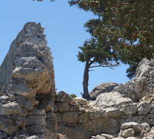 Bizarre Felsen, Ruinen und Bäume