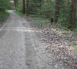 Walderlebnisweg Rottenburg