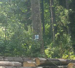 Parcul Natural Apuseni