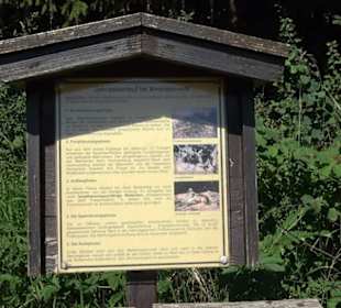 Waldameisen-LehrPfad