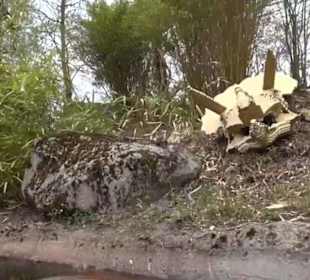 Land der Abenteuer - Dschungel X-pedition