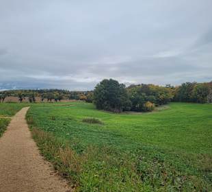 Wandern Meerane