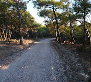 Auf dem Weg zu den Dünen
