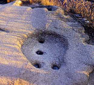 Hufmal Rosstrappe 