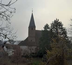  Johanneskirche in Wissembourg