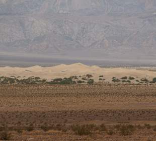 Mesquite Sand Dunes 