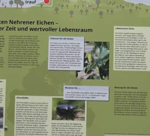 Wanderweg Firstwaldrunde