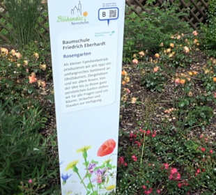 Historische Stadtmauer