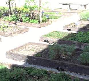 Kräutergarten Blaubeuren