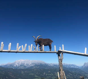 Wandern St. Johann im Pongau