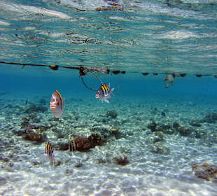 Sharm El Naga - Ey warte auf mich...