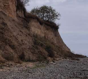 Wandern Diedrichshagen 