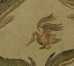 Mosaik Museum in El Djem