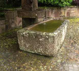 Klosterbrunnen Wittichen