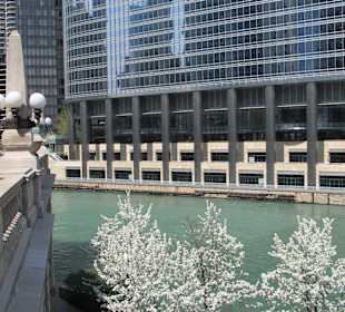Architecture Cruise
