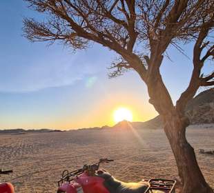 Susi in Ägypten - Ausflüge