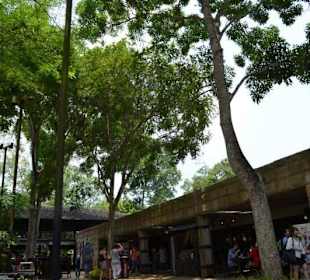Singapur Zoo