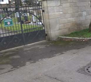 Friedhof Neckarhausen