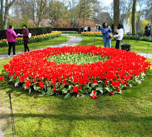 Blumenpracht im Keukenhof