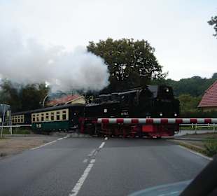 Ausflugtipp: Rasender Roland