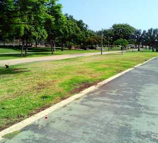 Parque del Sur in Maspalomas