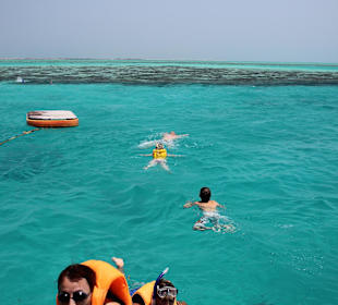 Baden und Schnorcheln an der Station am Riff