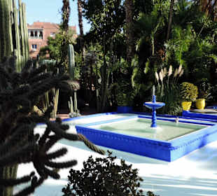 Ogród Majorelle