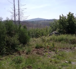 Klippen Runde Okertal Bild 16