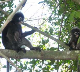 Marine National Park