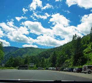 Parken am Plöcken hinten kann man zur Alm gehen