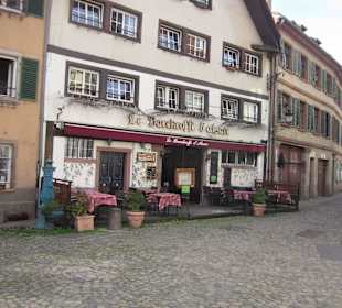 Altstadt Straßburg im Frühling