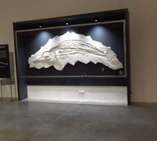 Dinosaurier Museum Altmühltal