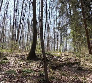 Wanderung Florianrunde