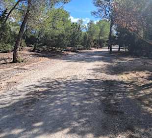 Naturschutzgebiet Ses Salines