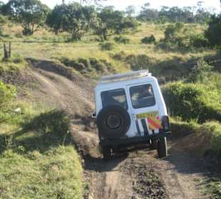 Über Stock und Stein