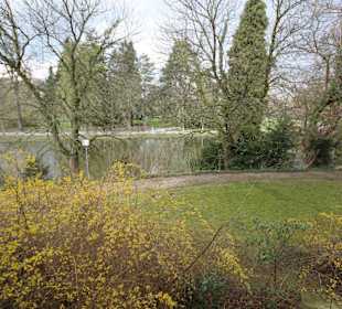 Blick in den Schlosspark