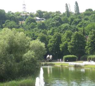 Rund um die Löwentorbrücke
