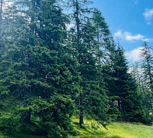 Lenzerheide Wandern