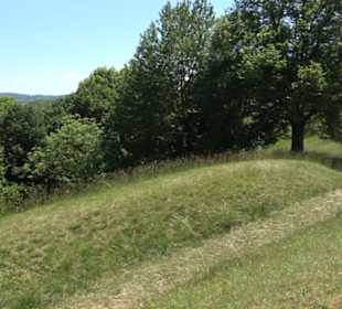 Burg Kräheneck Reusten