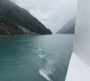 MS Zaandam befährt den Tracy Arm Fjord