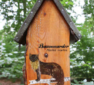 Baummarder