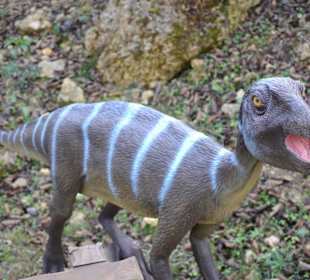 Wystawa Dinozaury Gondwany