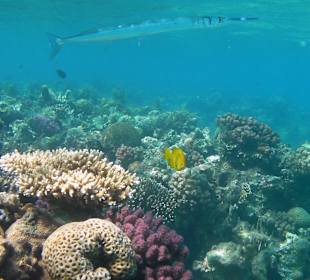 Mini rafa koło pomostu